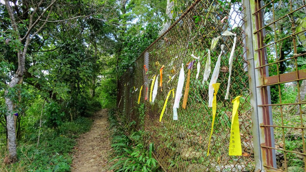 今天，我想來點獅山古道。叮咚。封面圖