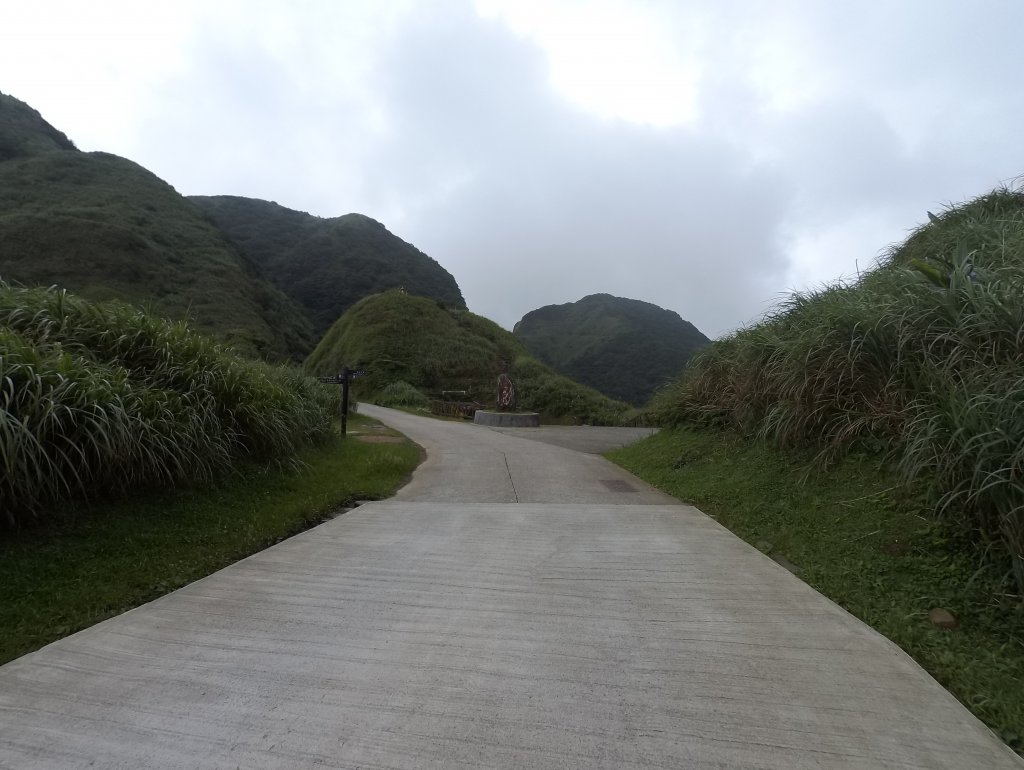 20200525樹梅坪、燦光寮、貂山古道_977026