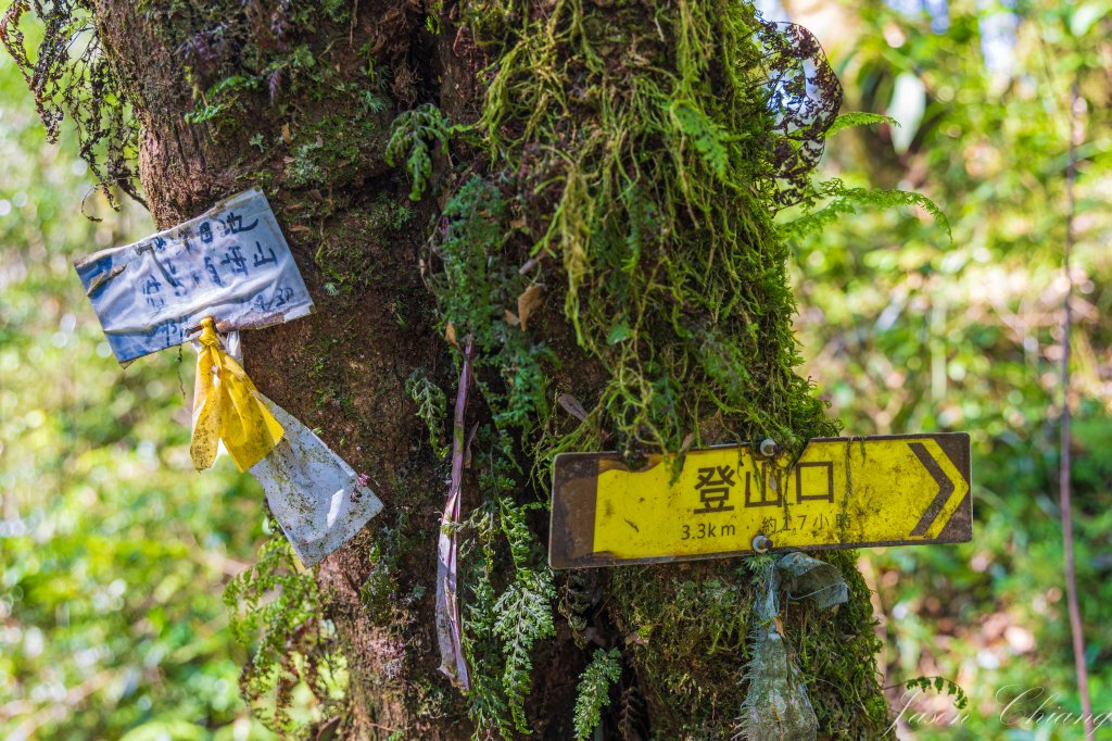 [宜蘭]松蘿湖_2663025