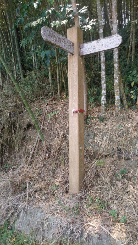 樟湖山、後棟仔山、大尖山、二尖山4山連走_1336974