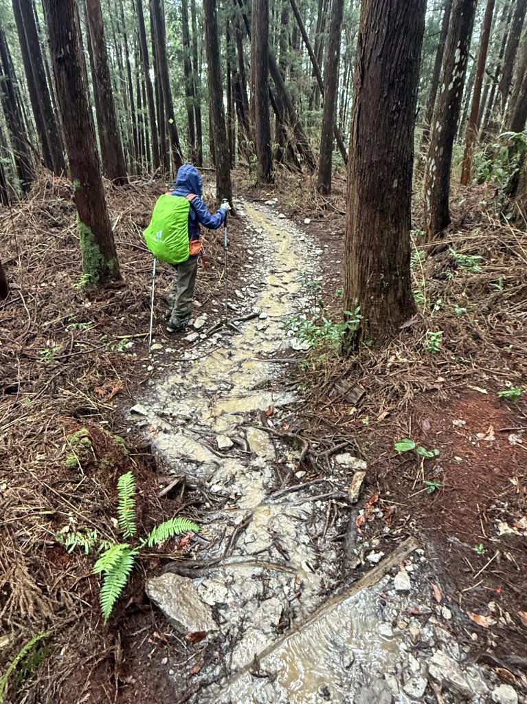 回程下雨的 松鶴上 八仙山 20251025_2925759