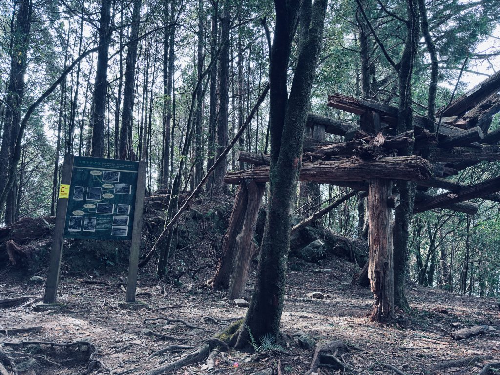 松鶴上八仙_2653175