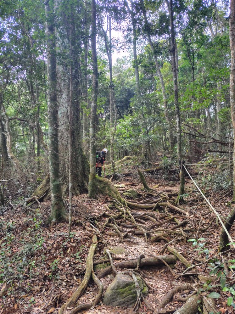 屋我尾山_2931475