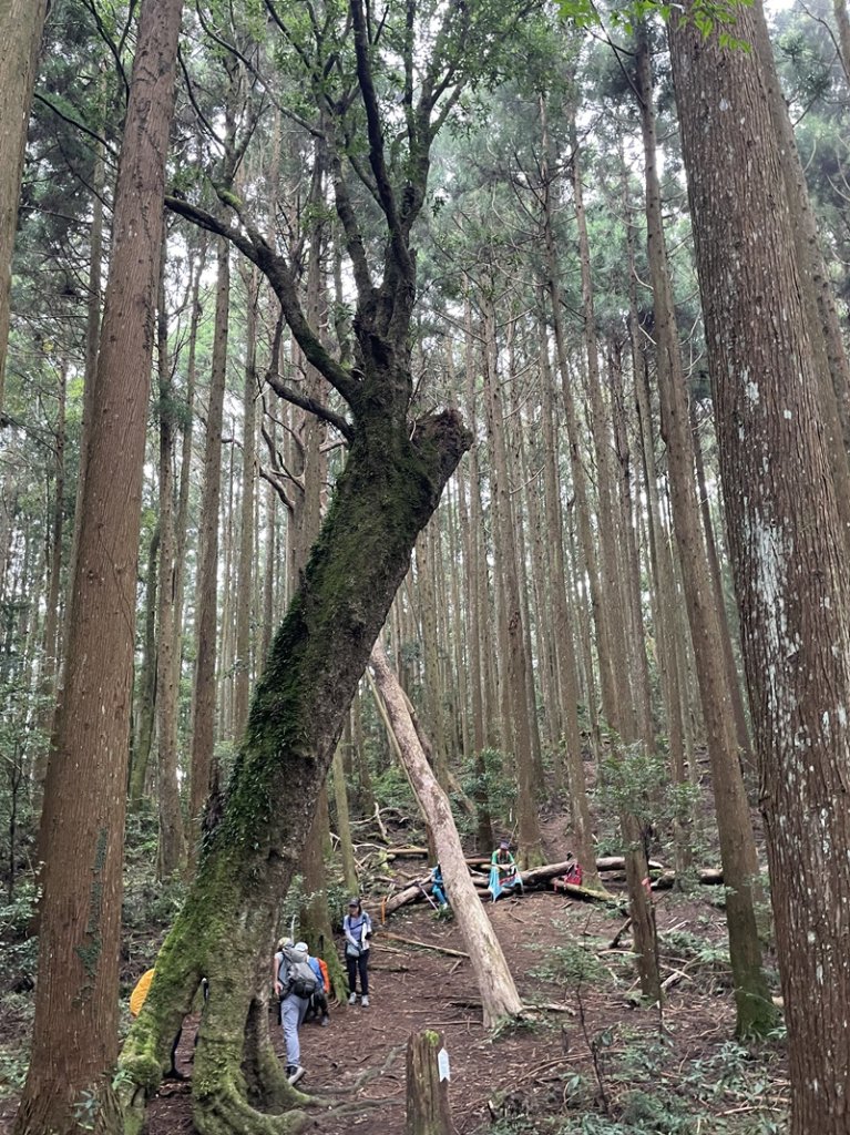 民都有山_2877336