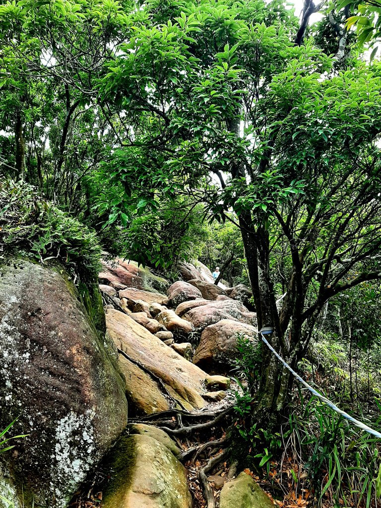金面山、絹絲瀑布_2532398