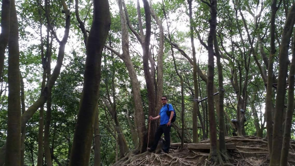 【春夏之際】鳶山登山步道O形健走_17314