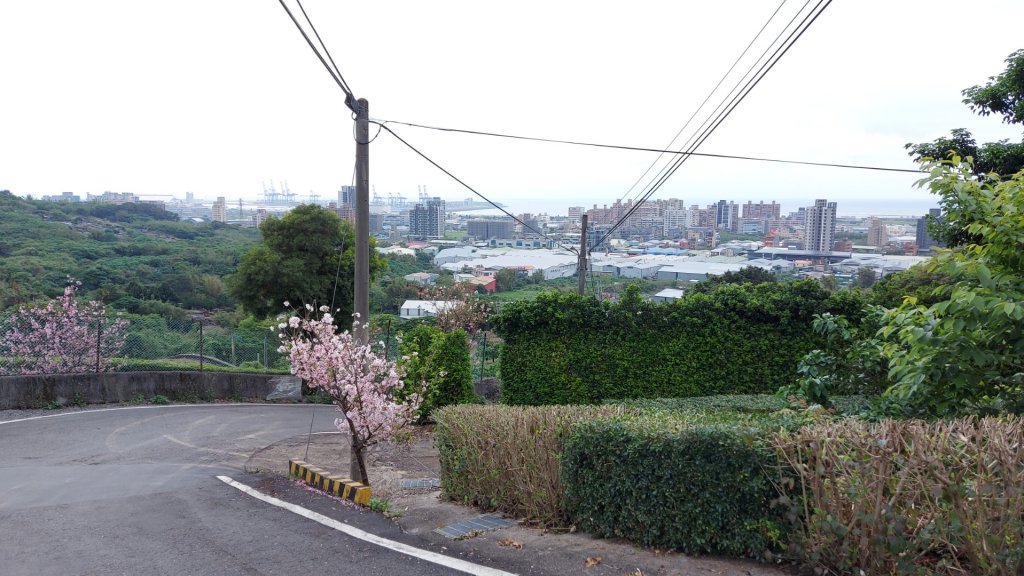 小百岳NO.5觀音山 牛港稜步道  硬漢嶺   楓櫃斗湖登山步道_2090082