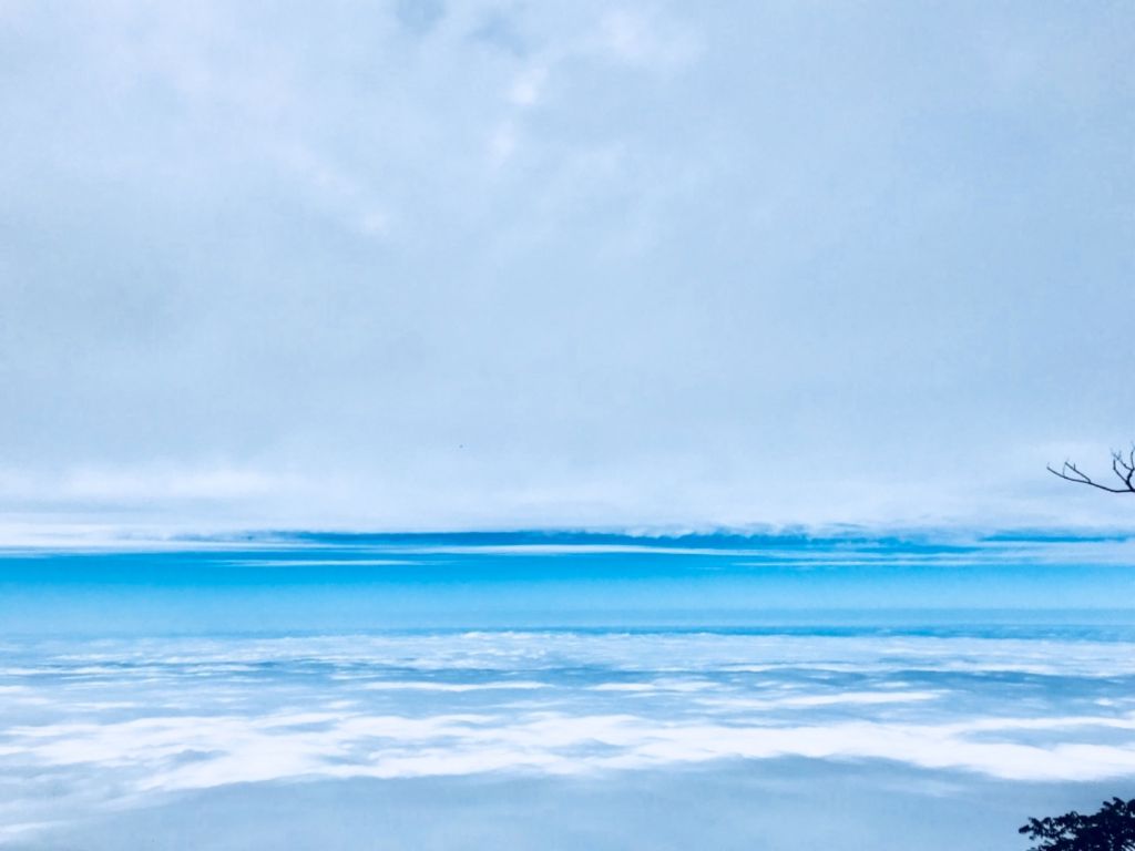 20171203加里山_220773