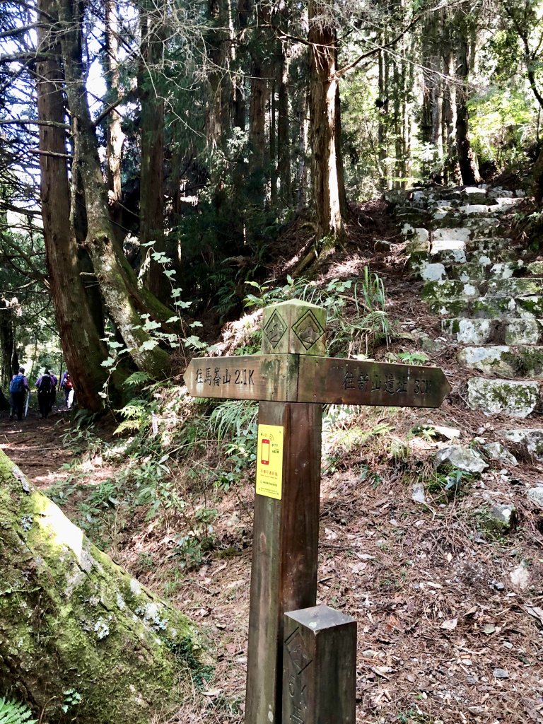 谷關七雄馬崙山_781981