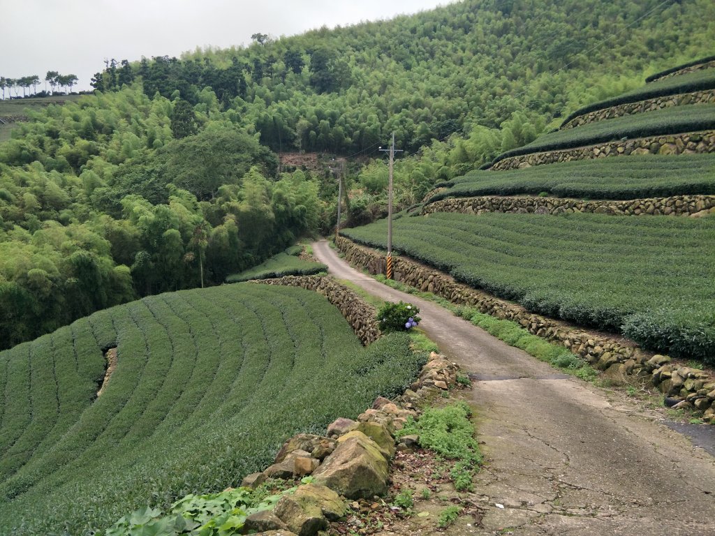 嘉義百大步道：桃荀古道與大尖山_1414705