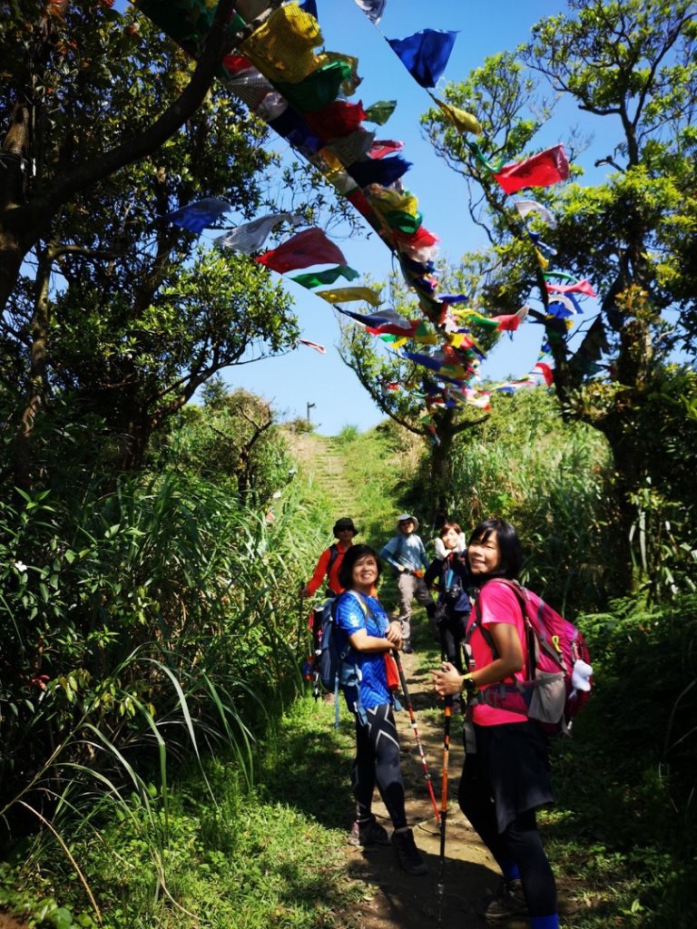 瓏美麗一週一步道（平汐通嶺步道）_566884