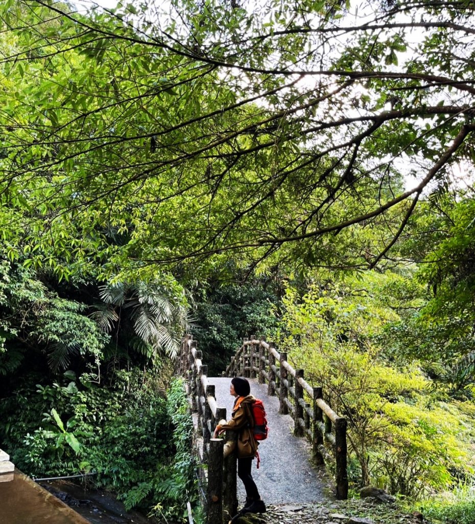 愛在秋芒紛飛時...五分山_2353600