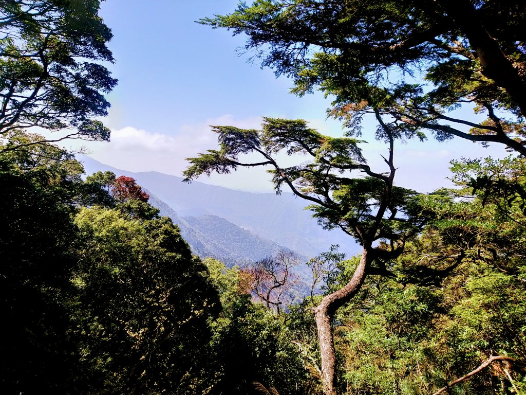 新竹天際線 比(南)比大鳥_881924