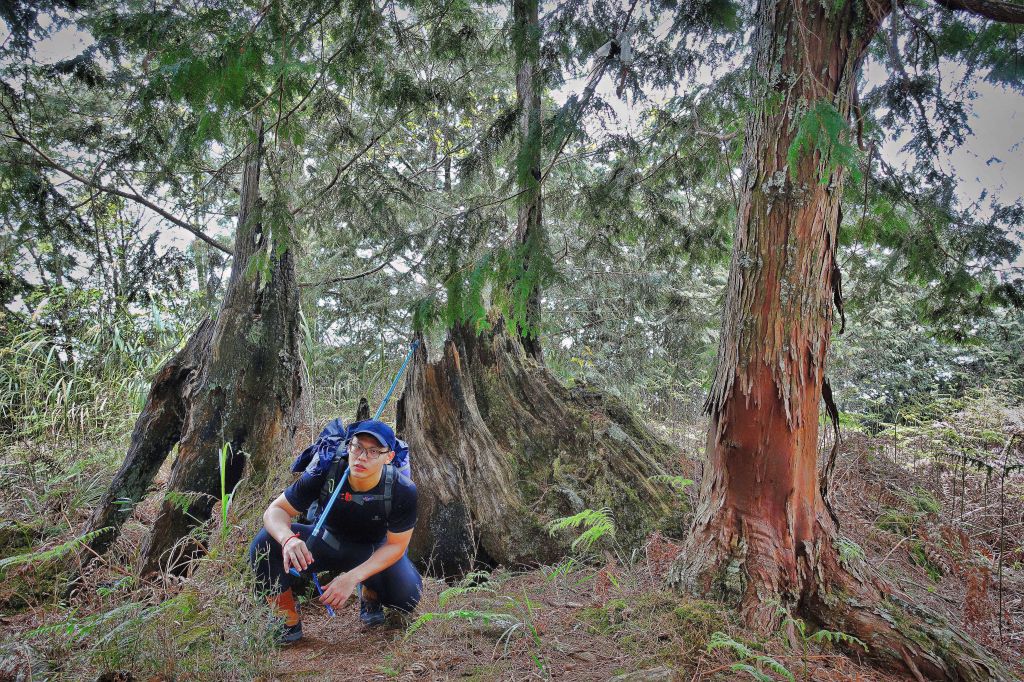 水漾森林。鹿屈山O型2018.04.04_307350