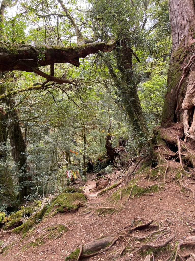 羅馬縱走_2038542