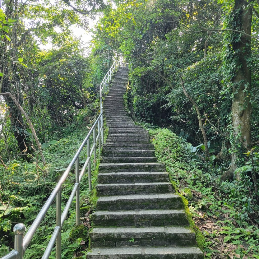 大尖山、四分尾山步道（小百岳）封面圖