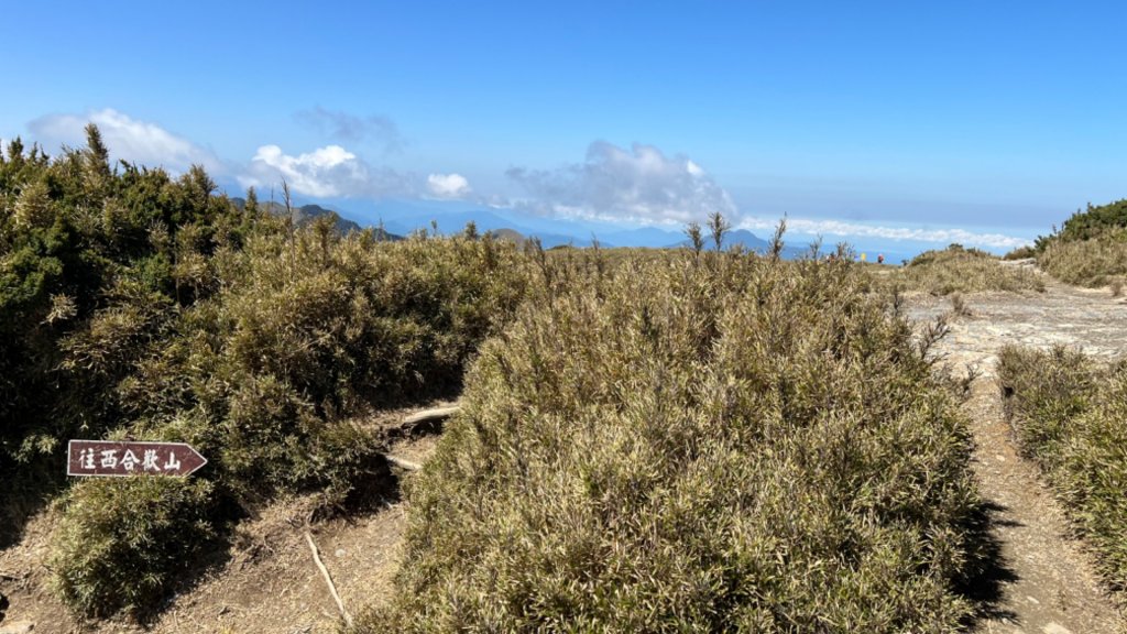 合歡西峰。粉紅鳥山之未完成_1689318