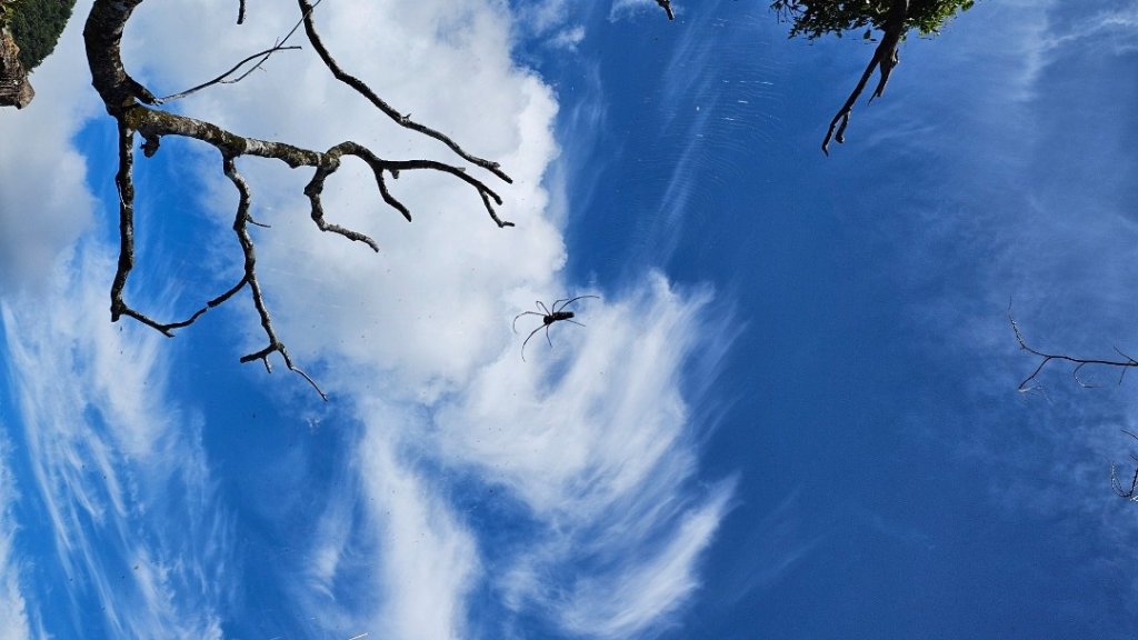 【暑假停課不停走】解鎖第49座小百岳#093都蘭山_2822539