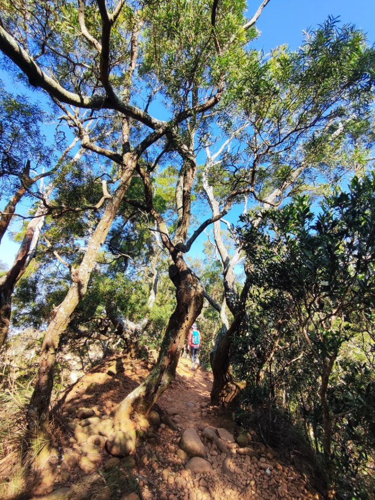 火炎山_2666768