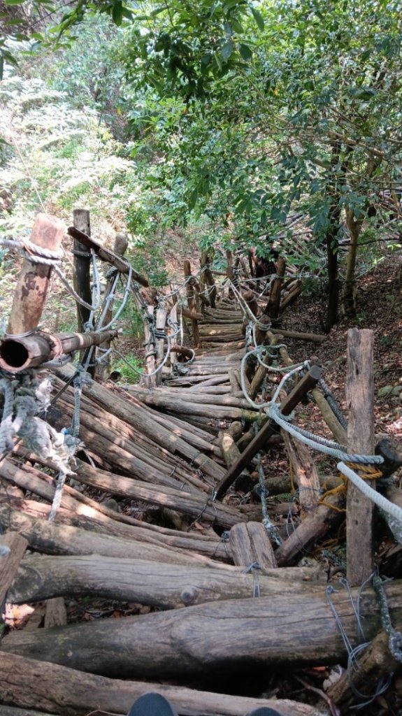 頭嵙山（小百岳 no.41）&石苓湖山O型親子團封面圖