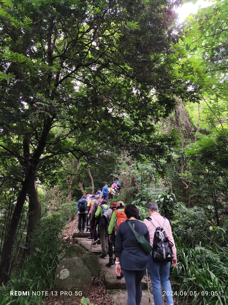 走訪新北市中和區及土城區的名勝古蹟：圓通禪寺、牛埔頭山、新加坡山_2518362