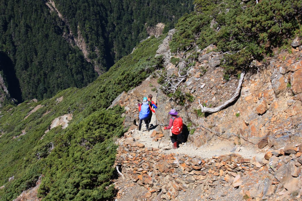 玉山3952單攻_690290