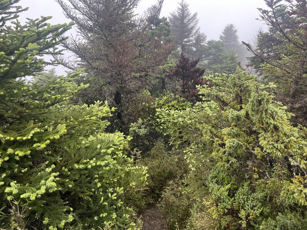 北二段(4/7)鬼門關峰 2024_0613_2528762