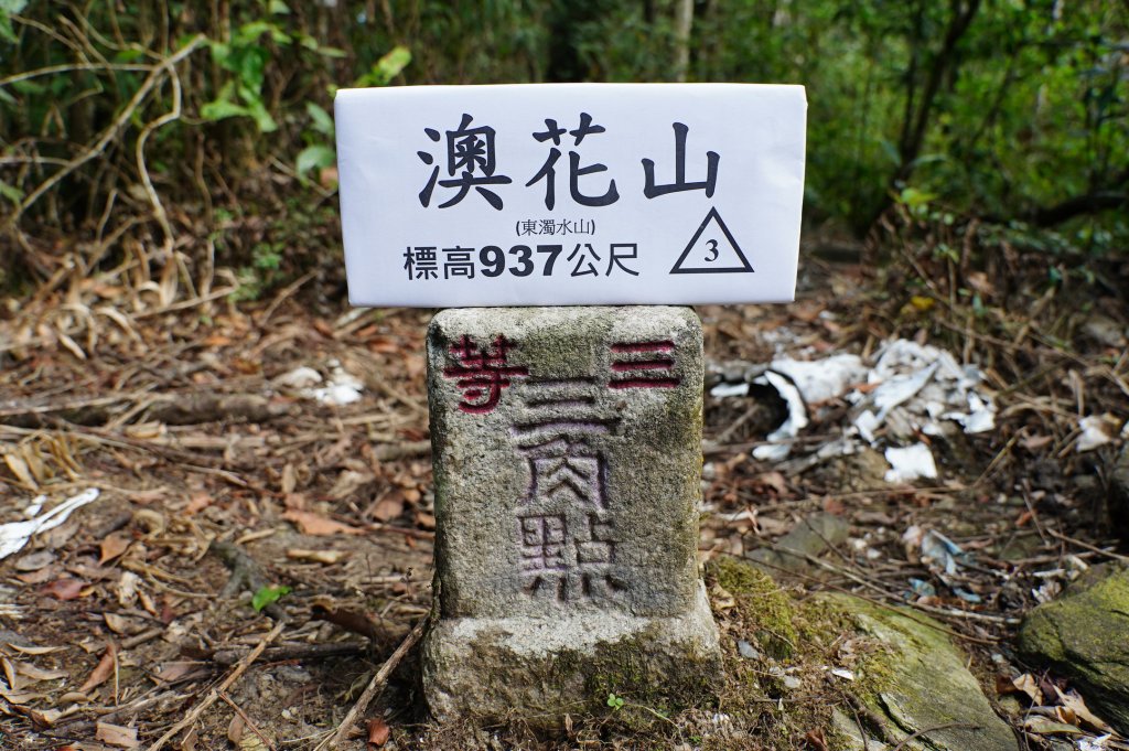 宜蘭 南澳 澳花山封面圖