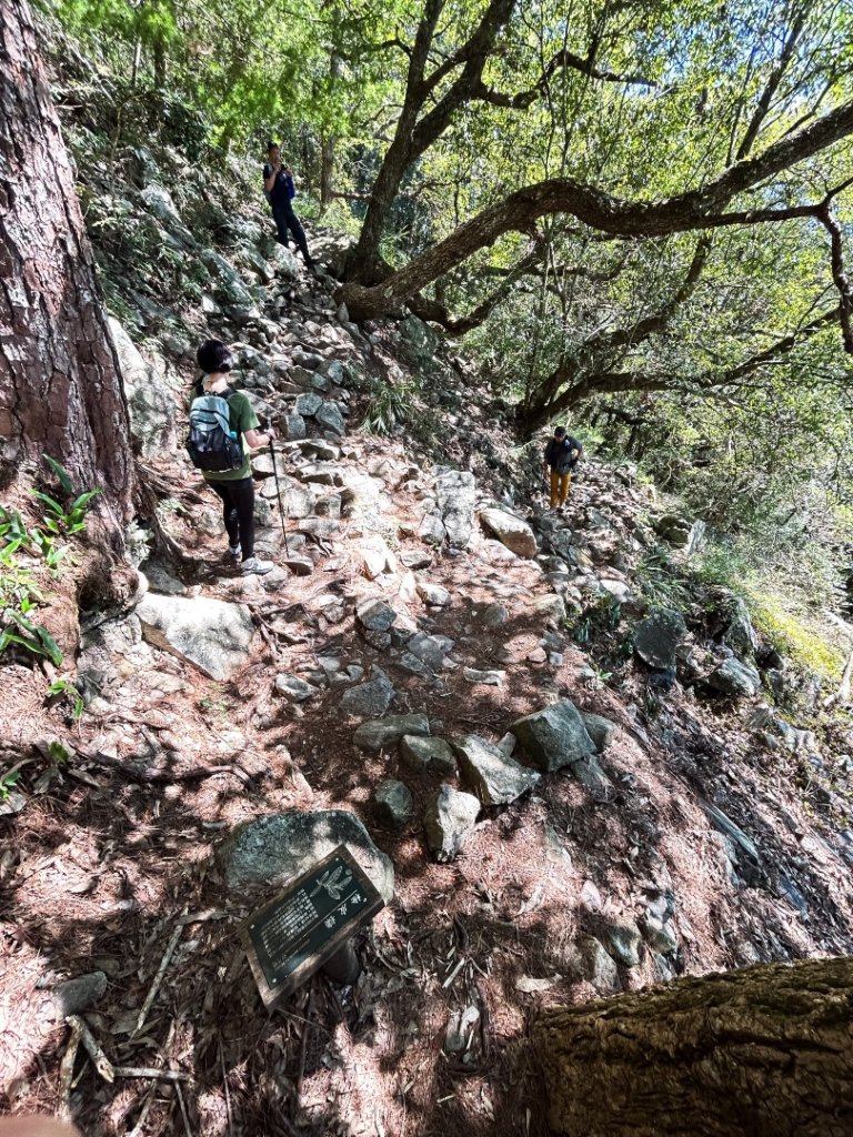 谷關-東卯山_2601404