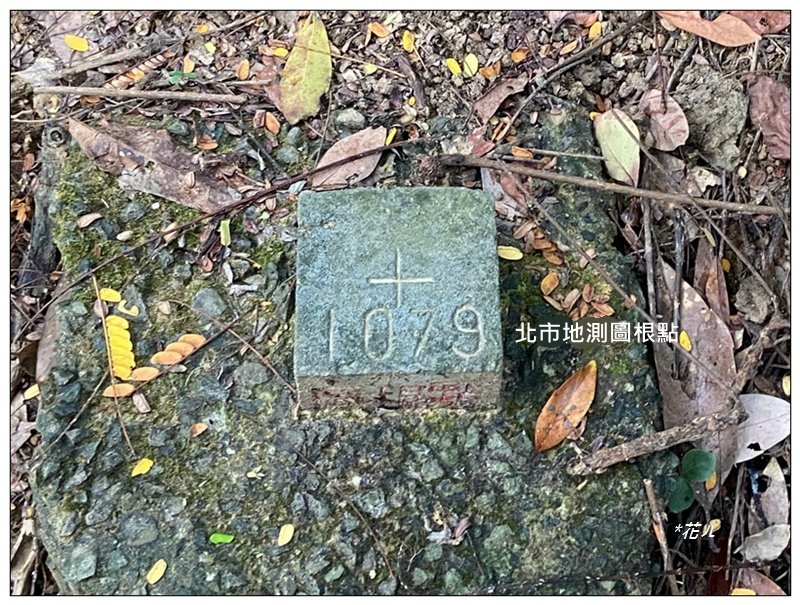 金龍湖、鷹石尖、老鷲尖、內溝山 O型一圈_2966632