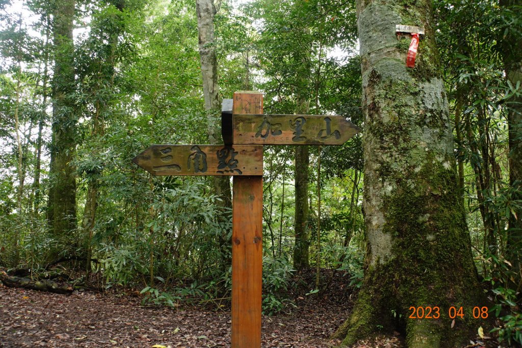 苗栗 泰安 虎山_2107257