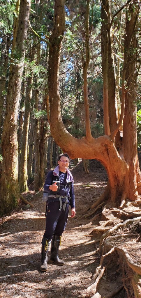 谷關七雄_新山馬崙山(八壯士來回)_2353148