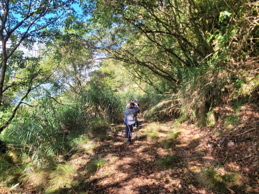 20231103 南一段四天_2356058