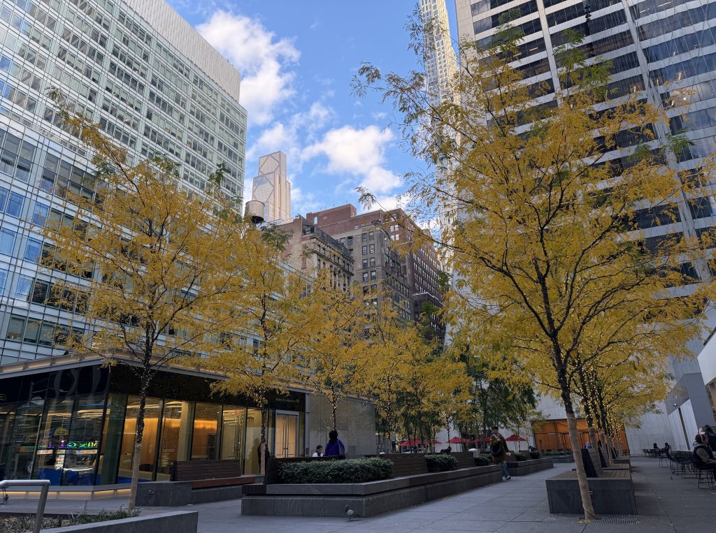 [紐約馬之行-04] 2025_1031 布萊恩特公園(Bryant Park)_2943484