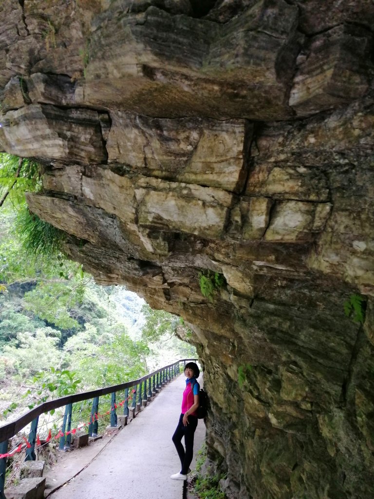 花蓮秀林~峻秀峽谷山水石壁畫~砂卡礑步道_1039798