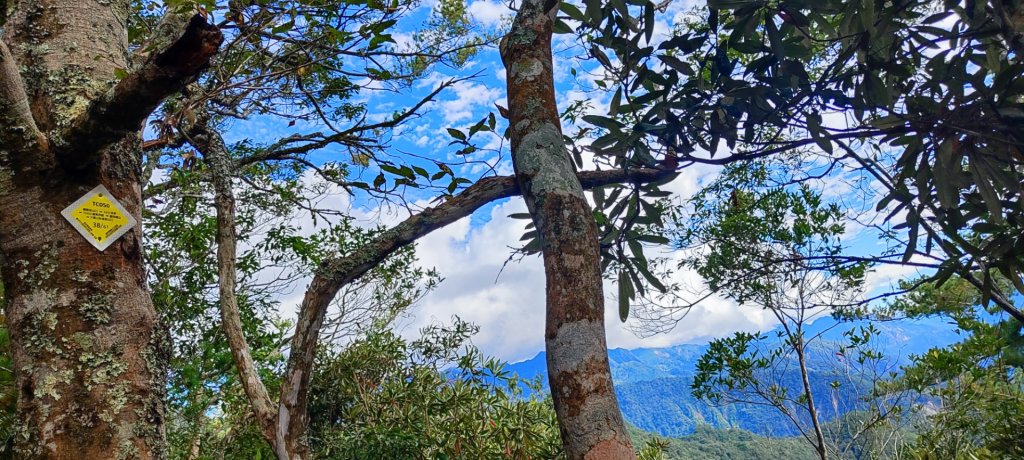 大雪山進屋我尾_2652483