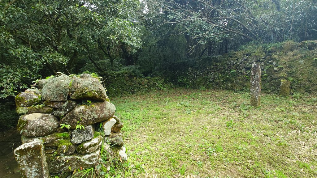 20260125 陽明山前後山健行(無極天元宮~山仔頂步道.向天池.向天山.面天山.二子坪)_2998049