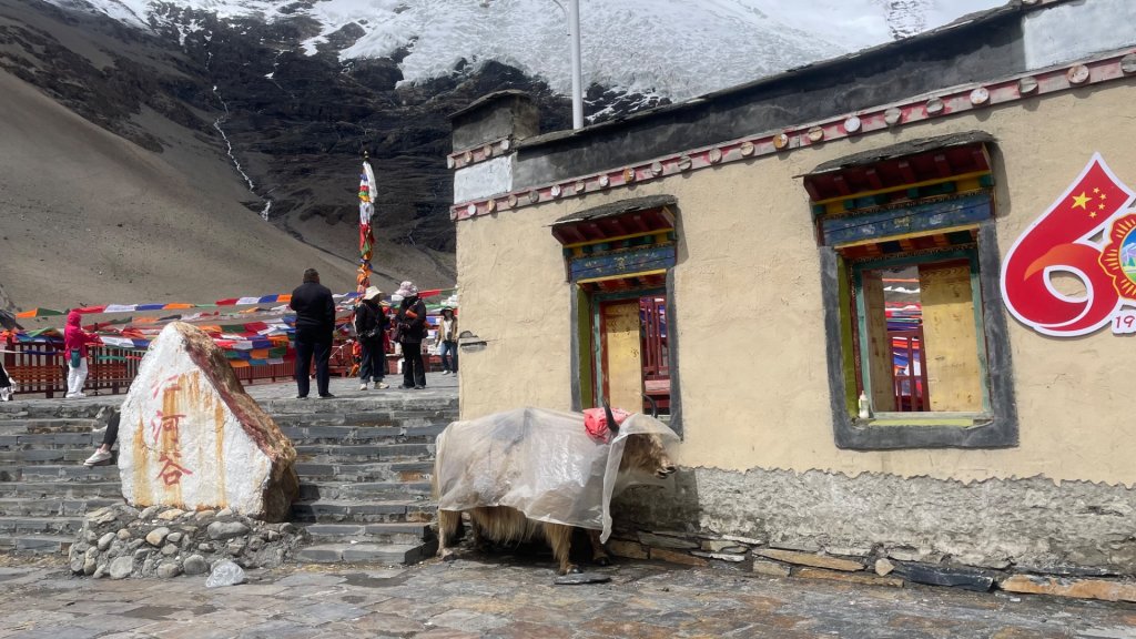 川藏33天深度之旅💙#稻城亞丁-來古冰川_2902441