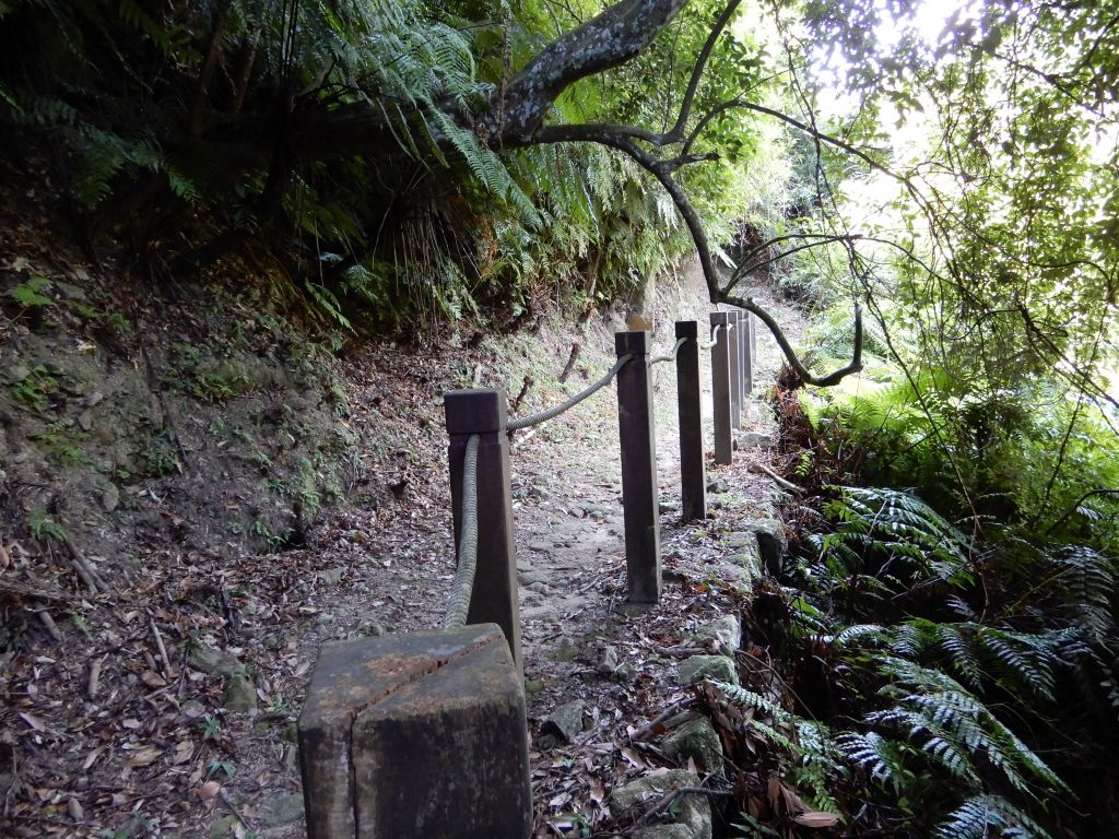 五指山古道+新山夢湖步道O型_381687