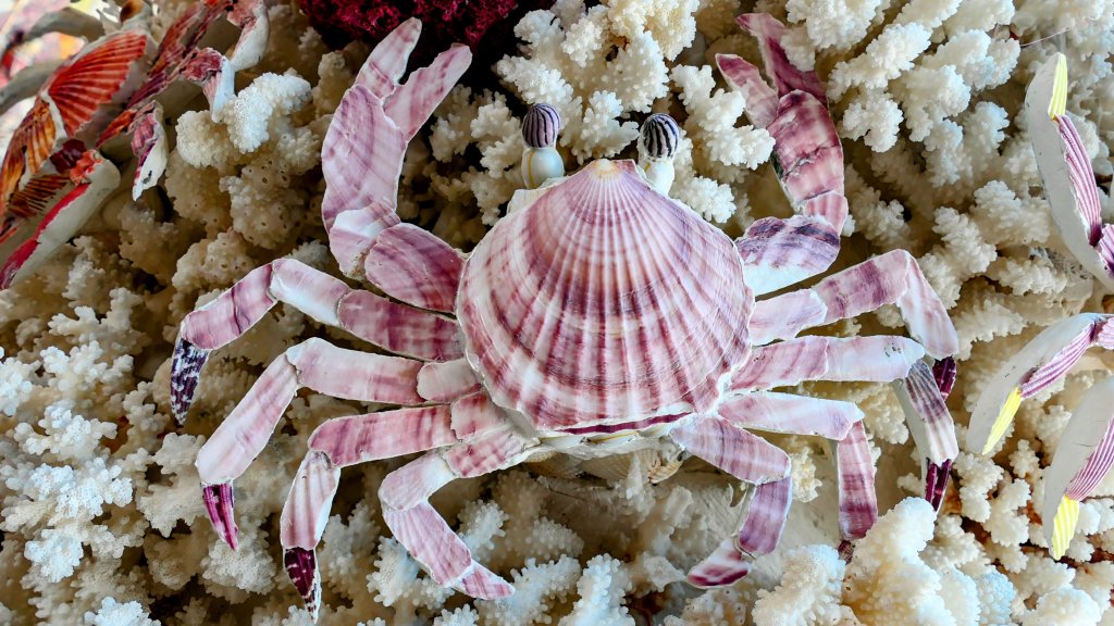 北海岸。良率_2783459