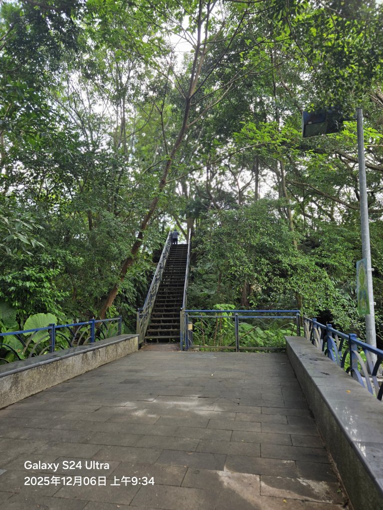 2025-12-06微笑山線：【二格山系】和美山螢火蟲段_2956807