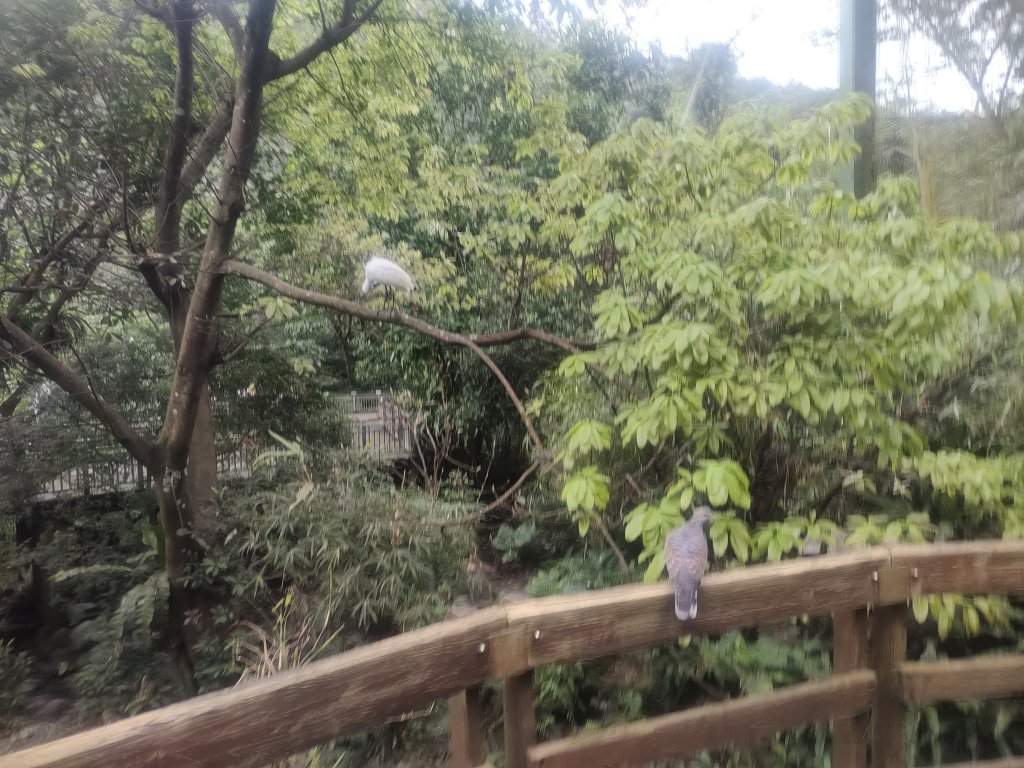台北動物園_2664034