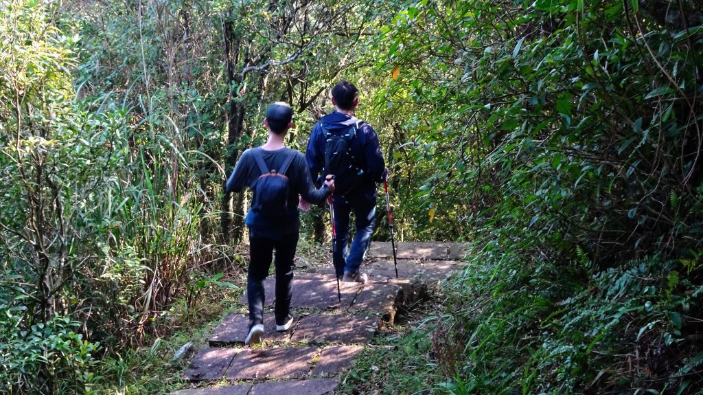 灣坑頭山，大里上大溪下_1993943