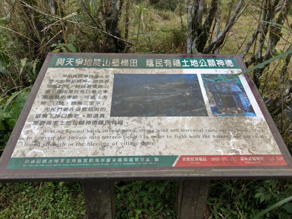 草嶺古道及桃源谷賞芒&&一望無際的綠_748838