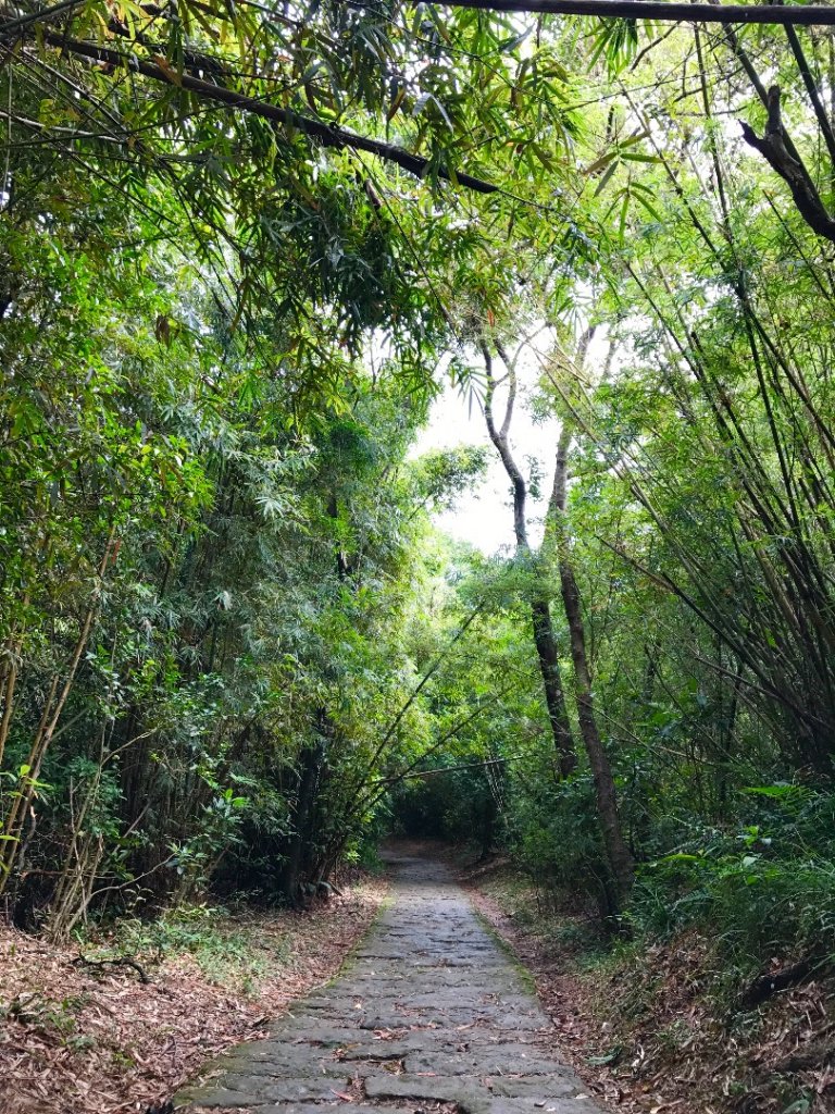 劍潭~文間山~忠勇山~大湖公園_458013