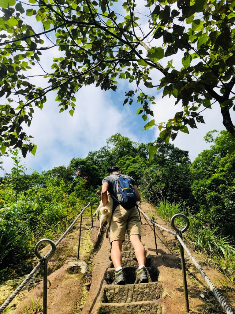 孝子山/慈母峰/普陀山_591851