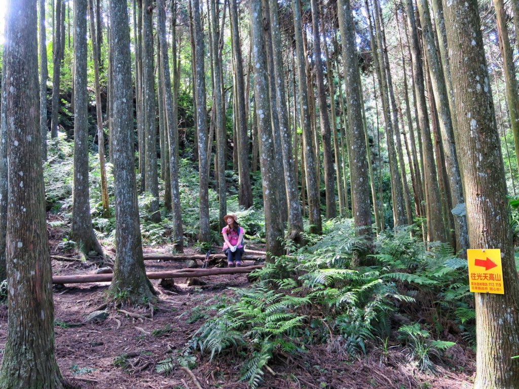 向天湖山、光天高山、三角湖山O繞_1725024