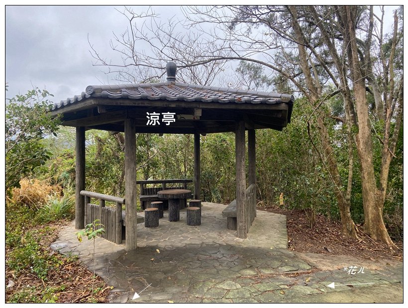 寶山迴龍步道、大統台山_2705042
