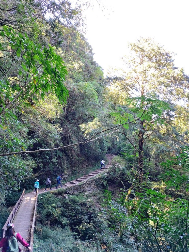 1081116特富野古道_737471