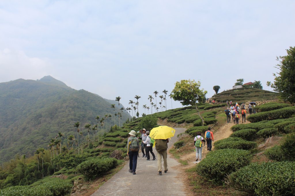 20210417雲林後棟仔山大尖二尖山_1358849
